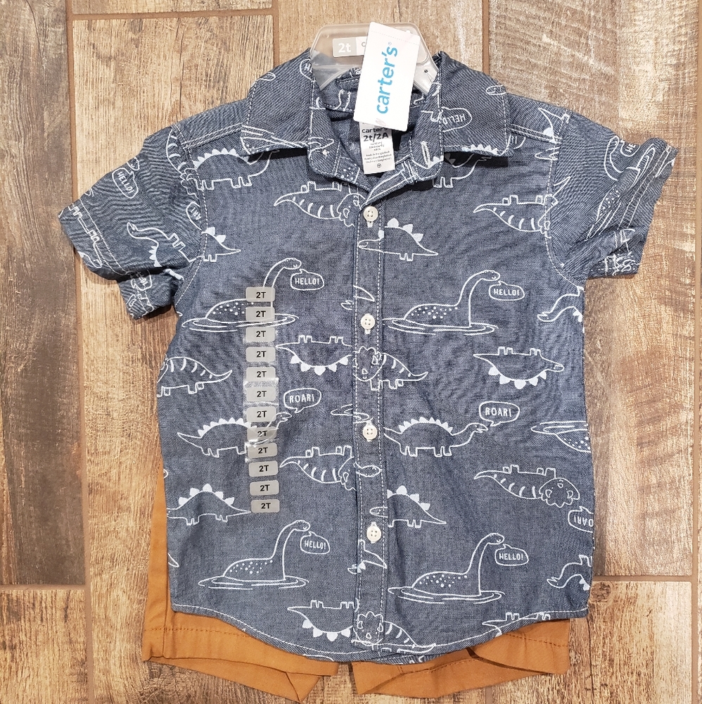 Carters brand 2 piece outfit. Brown shorts and blue dinosaur button shirt.